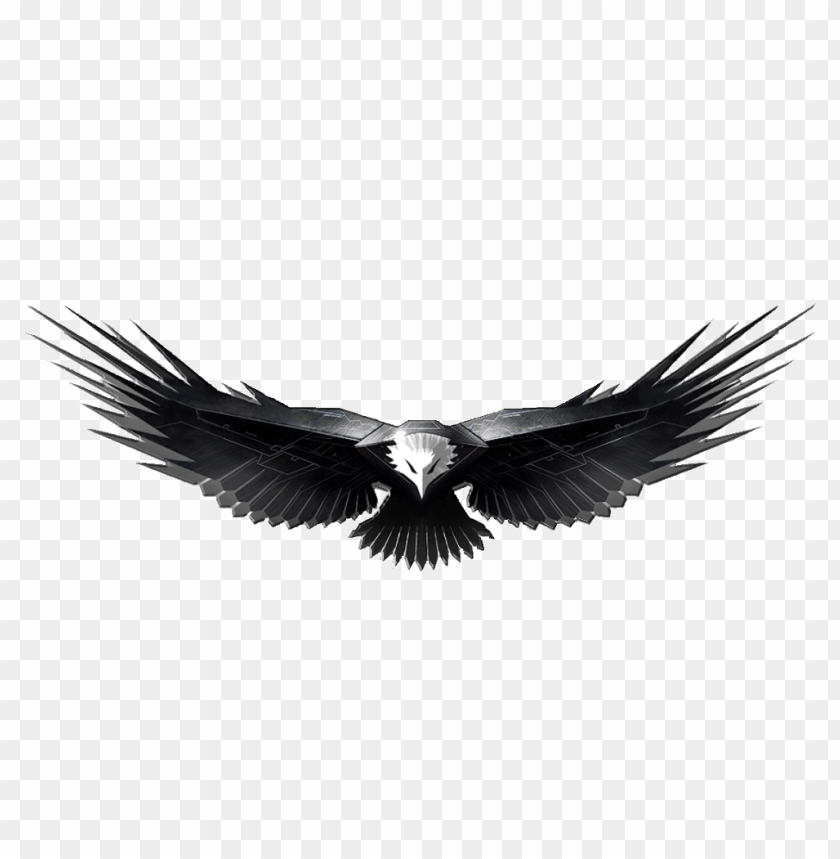 free PNG Download eagle png images background PNG images transparent