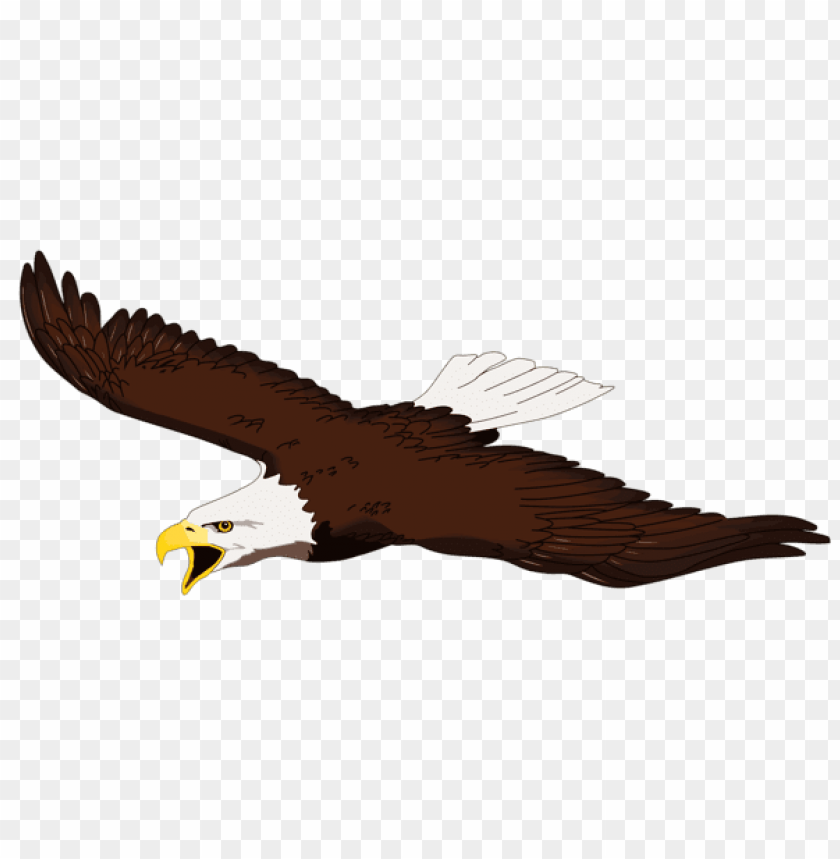 Free download | HD PNG eagle transparent | TOPpng