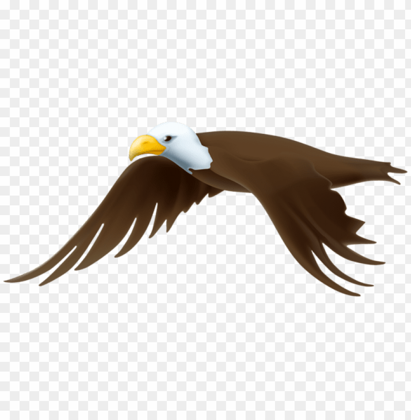 Free download | HD PNG eagle transparent | TOPpng