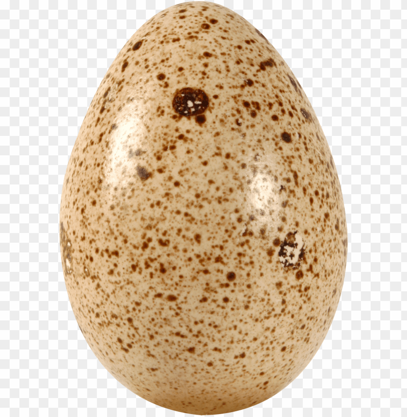Free download | HD PNG egg png PNG transparent with Clear Background ID ...