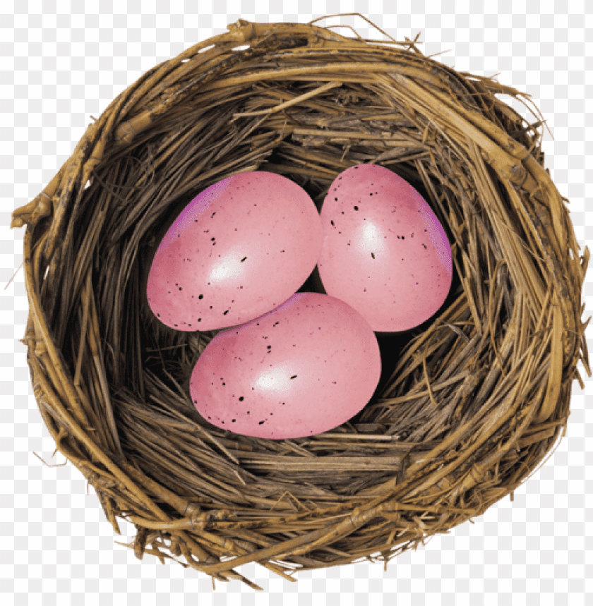 Free download | HD PNG nest with pink eggs png PNG images with ...