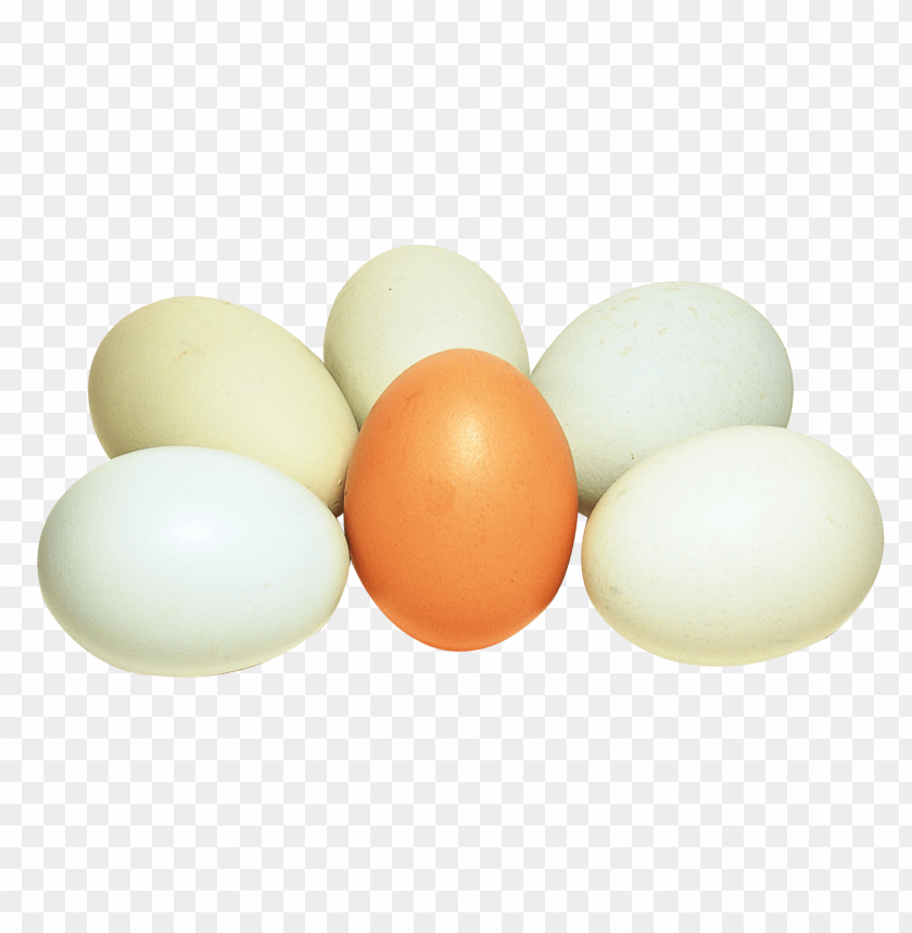Free download | HD PNG eggs PNG images with transparent backgrounds ...