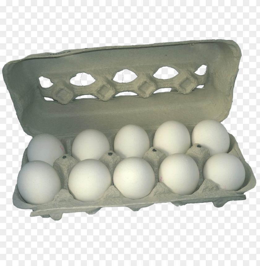Free download | HD PNG eggs PNG images with transparent backgrounds ...