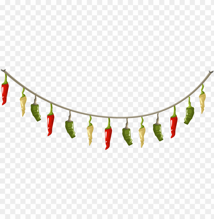 Free download HD PNG eppers spices hanging chili png image