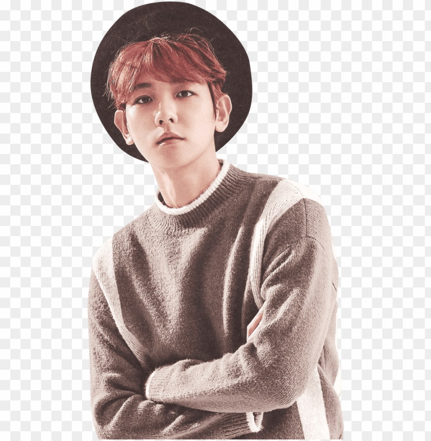 Free Download Hd Png Exo Seasons Greetings Baekhyun Png