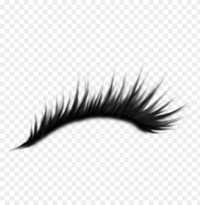 Download eyelash png png - Free PNG Images | TOPpng