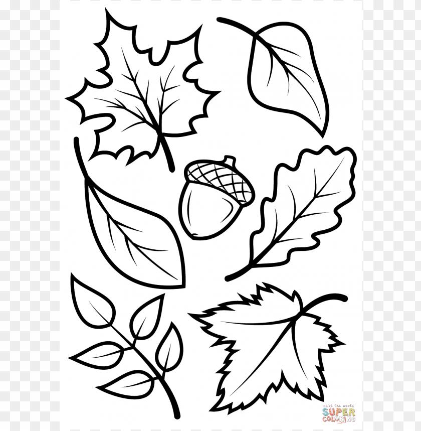 Free download | HD PNG fall colors coloring sheet PNG transparent with ...