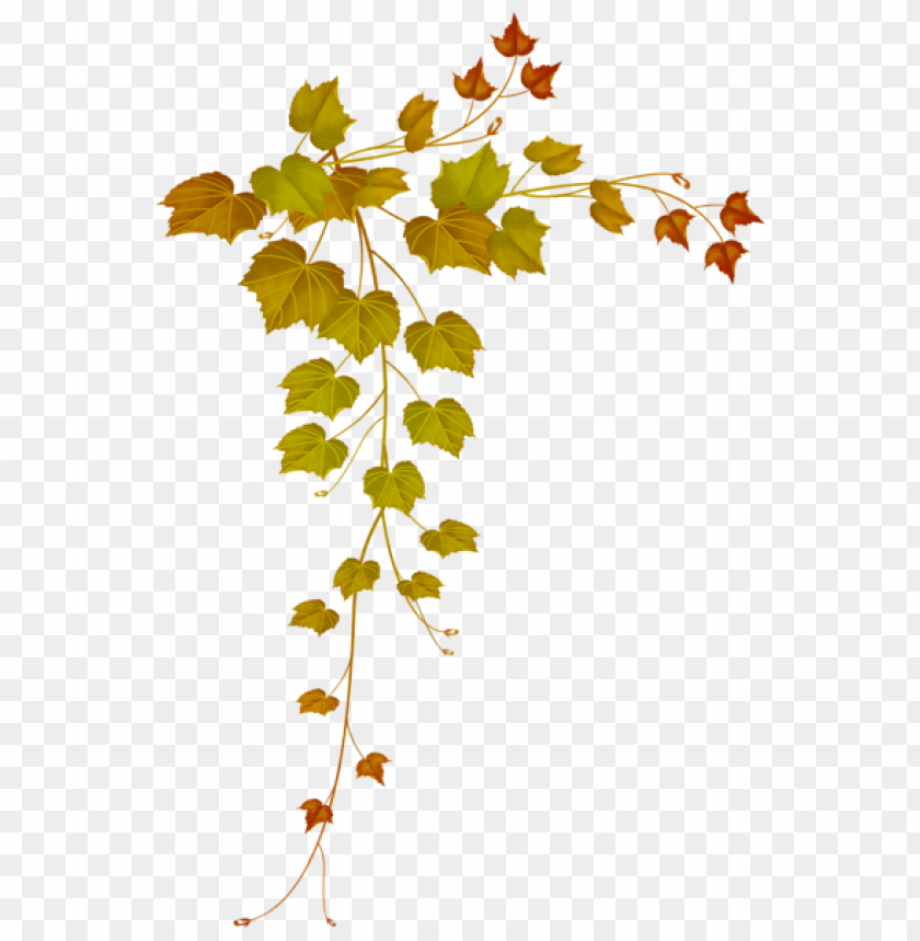 Free download | HD PNG fall decorative leaves clipart png photo - 55771 ...
