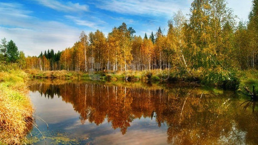 Fallscape River Free download | HD PNG fall river landscape wallpaper background best ...