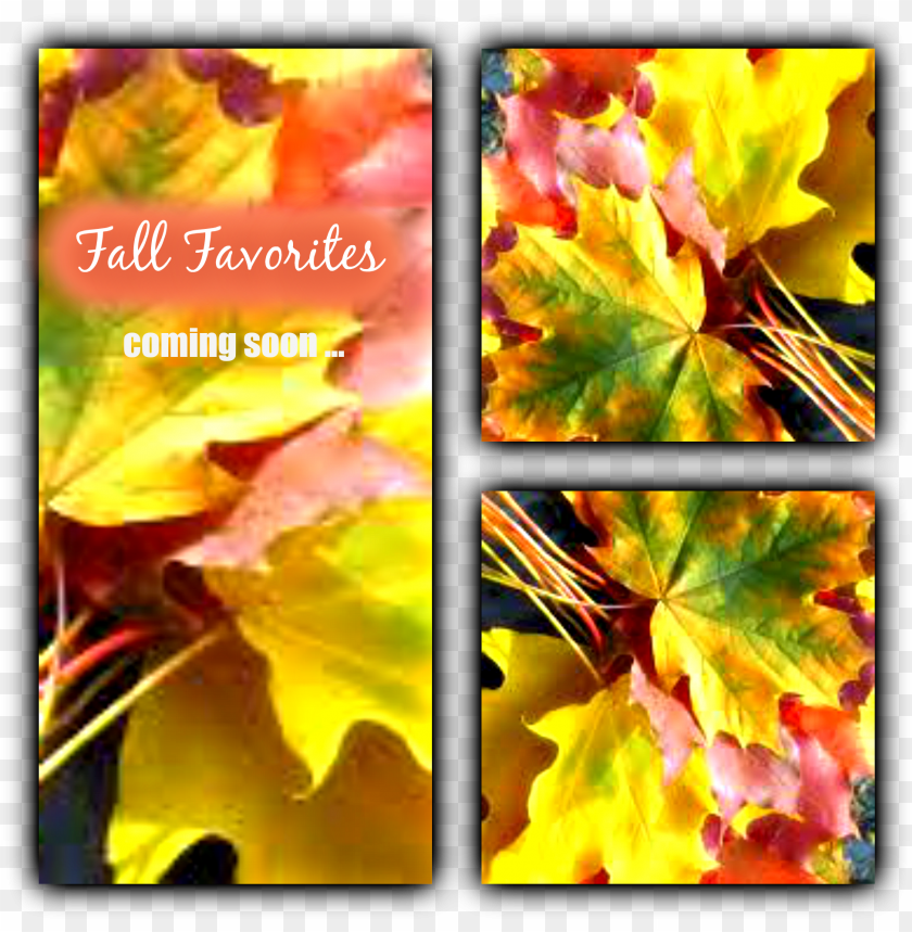 Free download | HD PNG fallfavorites fall leaves PNG transparent with ...