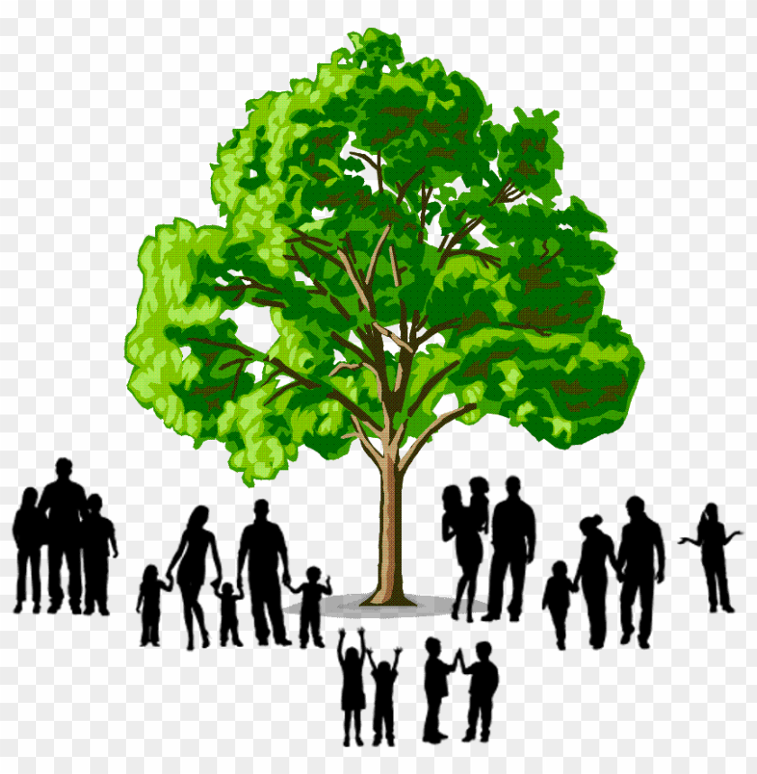 Free download | HD PNG family tree logo PNG transparent with Clear ...