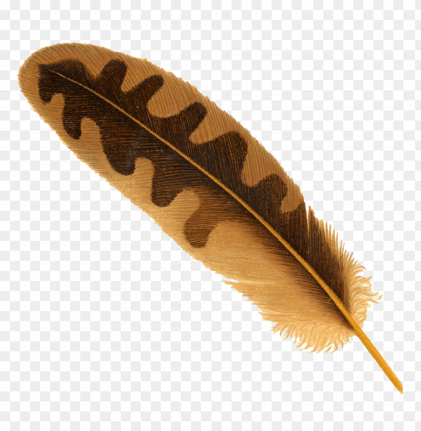 Free download | HD PNG Transparent Background PNG of feather - Image ID ...