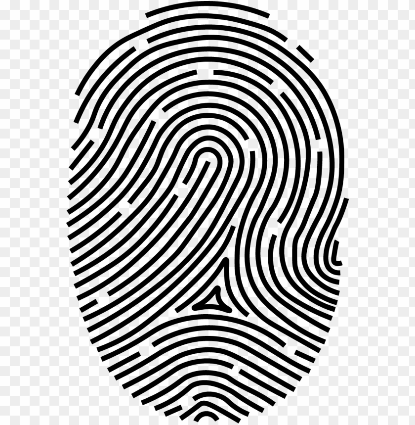 Download fingerprint png png - Free PNG Images | TOPpng