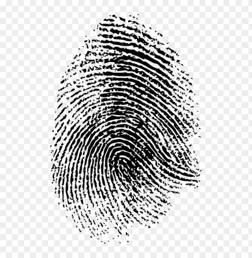 Download fingerprint png png - Free PNG Images | TOPpng