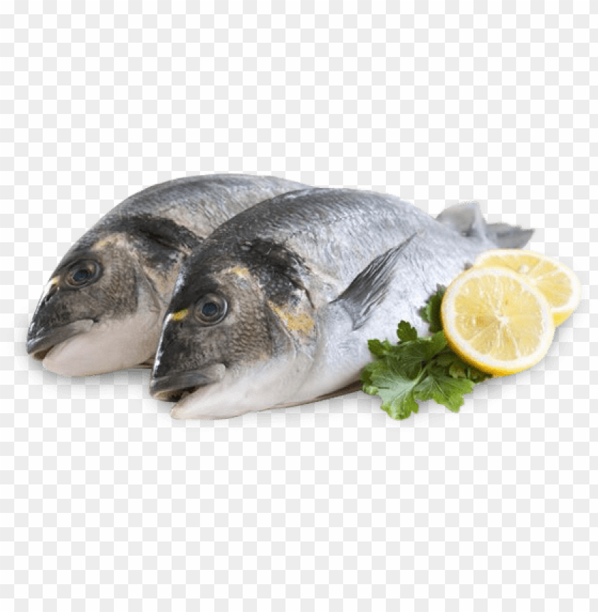 Free download | HD PNG fish meat png PNG transparent with Clear ...
