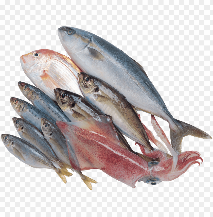 Free download | HD PNG fish meat png PNG transparent with Clear ...