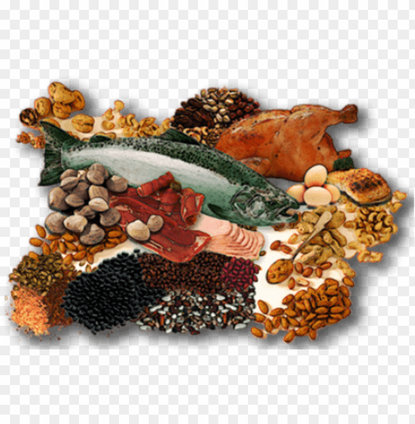 Free download | HD PNG fish meat png PNG transparent with Clear ...