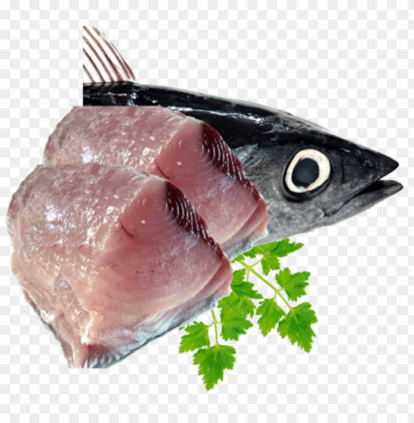 Free download | HD PNG fish meat png PNG transparent with Clear ...