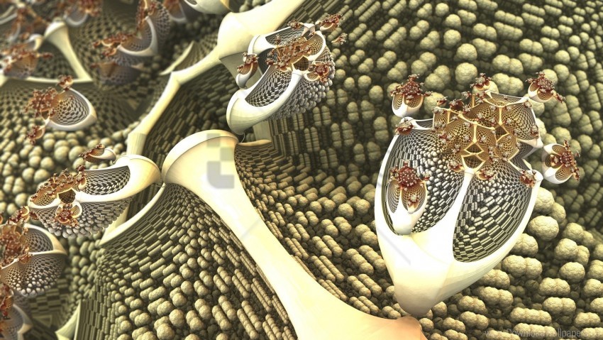 Free download | HD PNG flight light shape wallpaper background best ...