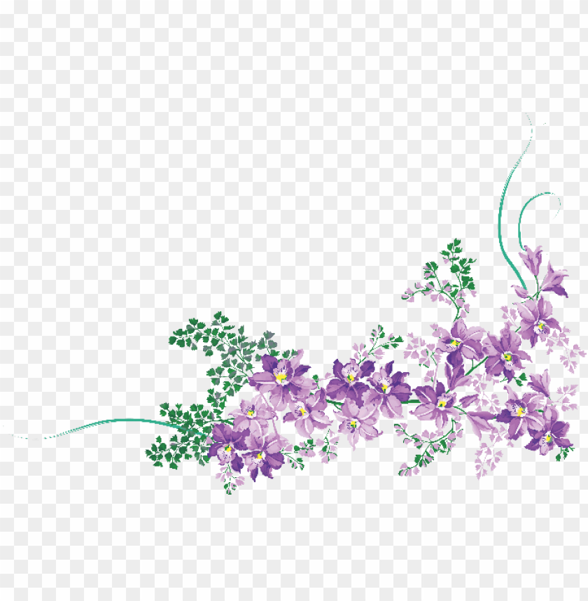 Free download | HD PNG flores ilustraciones en png para artesanía y ...