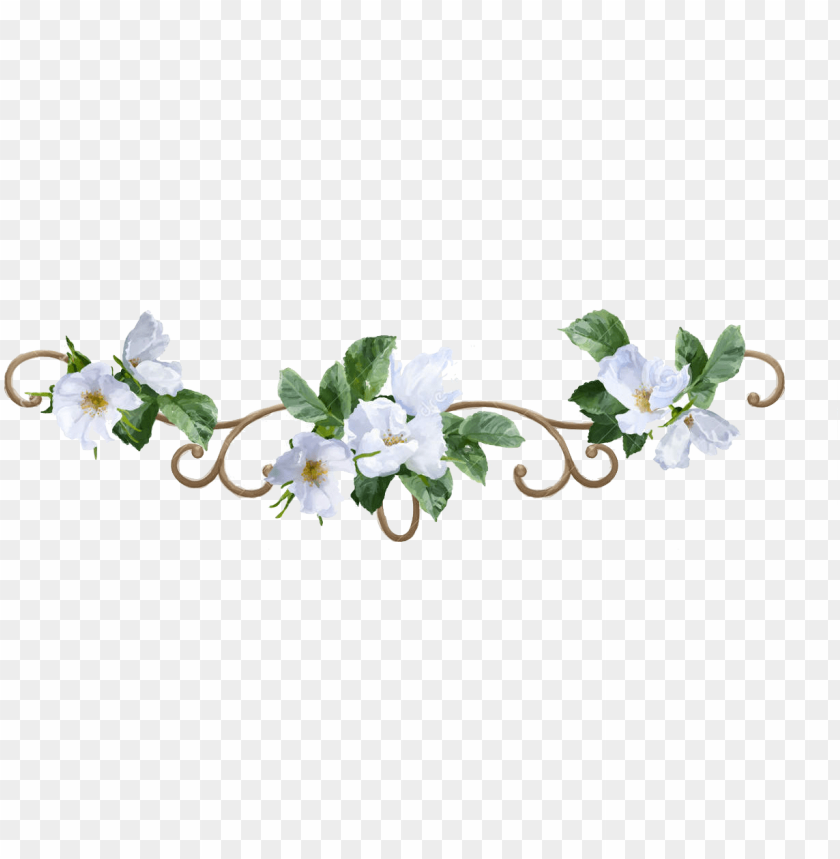 Transparent Background White Flowers Border Png - Get Images Four