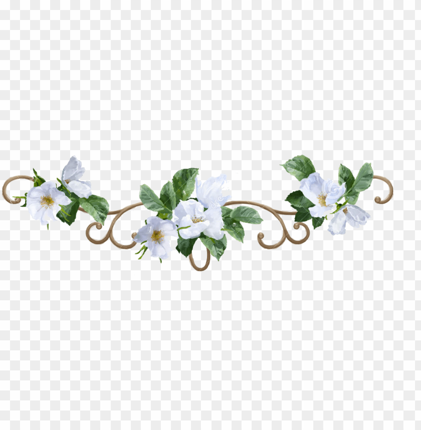 20+ Inspiration Transparent Background White Flowers Border Png