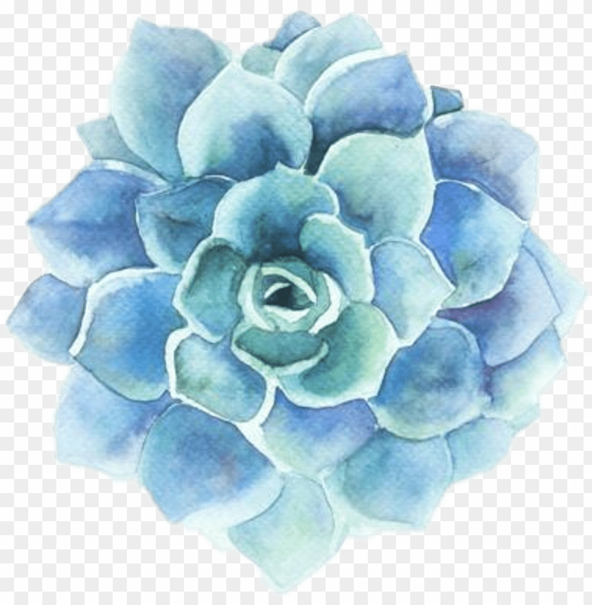 Flower Clipart Tumblr Blue Flower Watercolor Png Image With