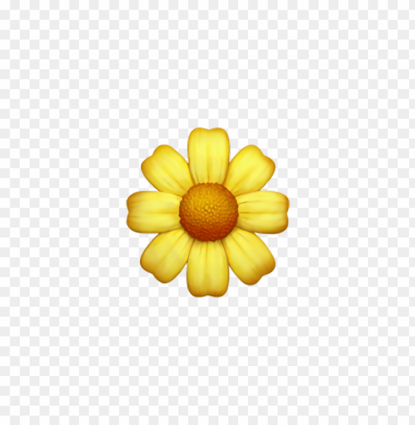 Download flower emoji transparent png - Free PNG Images | TOPpng