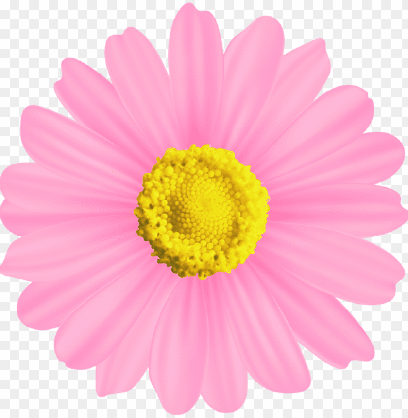 Free download | HD PNG PNG image of flower pink decorative with a clear ...