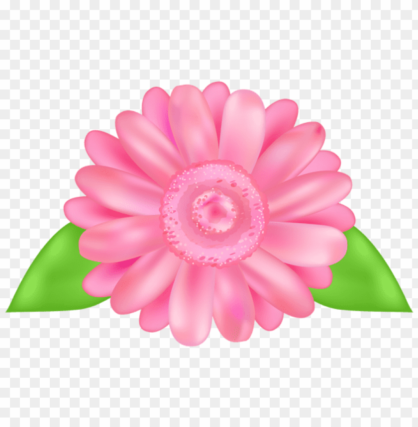 Free download | HD PNG PNG image of flower pink decorative transparent ...