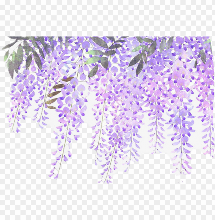 Download flowers vines purple sticker - lavender flower border png