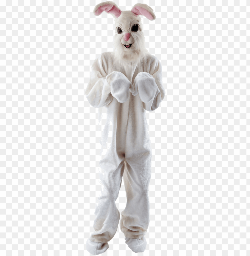 Fluffy Easter Bunny Costume Png Image With Transparent Background