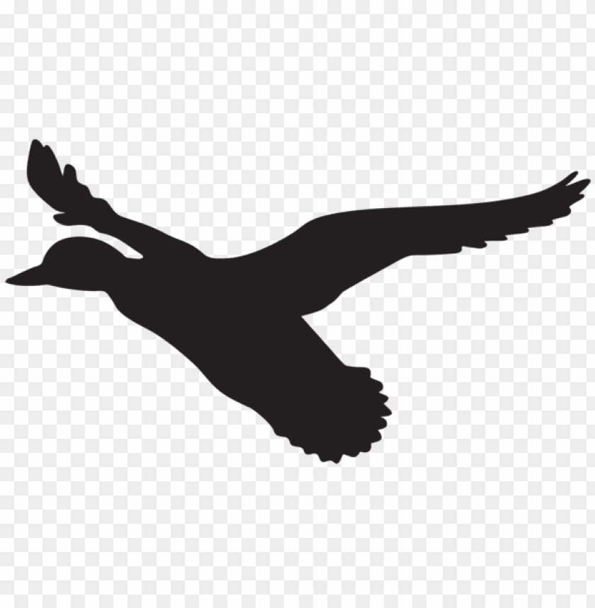 Free download | HD PNG Transparent flying duck silhouette PNG Image ...