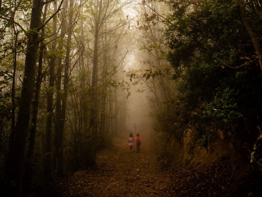 Free download | HD PNG fog forest path children walk 4k wallpaper | TOPpng