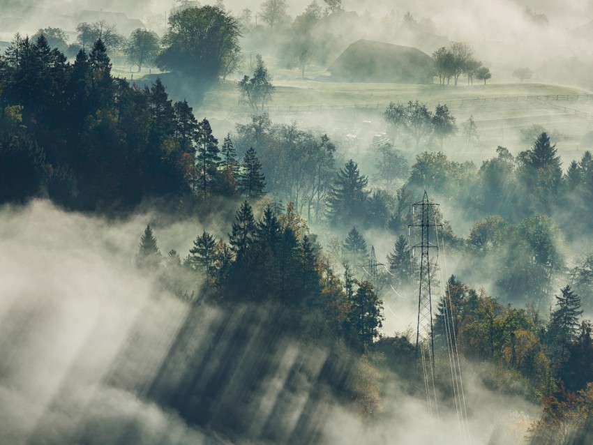 Free download | HD PNG fog trees top view forest bled slovenia 4k ...