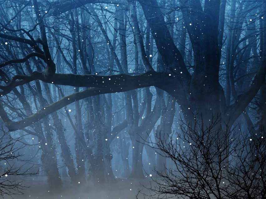 Free download | HD PNG forest fog fireflies branches 4k wallpaper | TOPpng