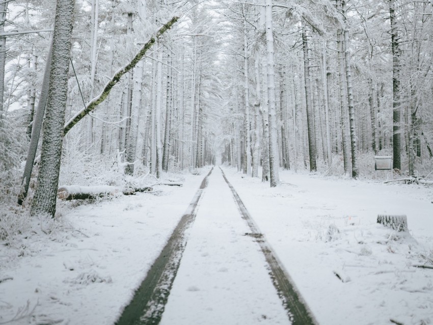 Free download | HD PNG forest path snow trees winter 4k wallpaper | TOPpng