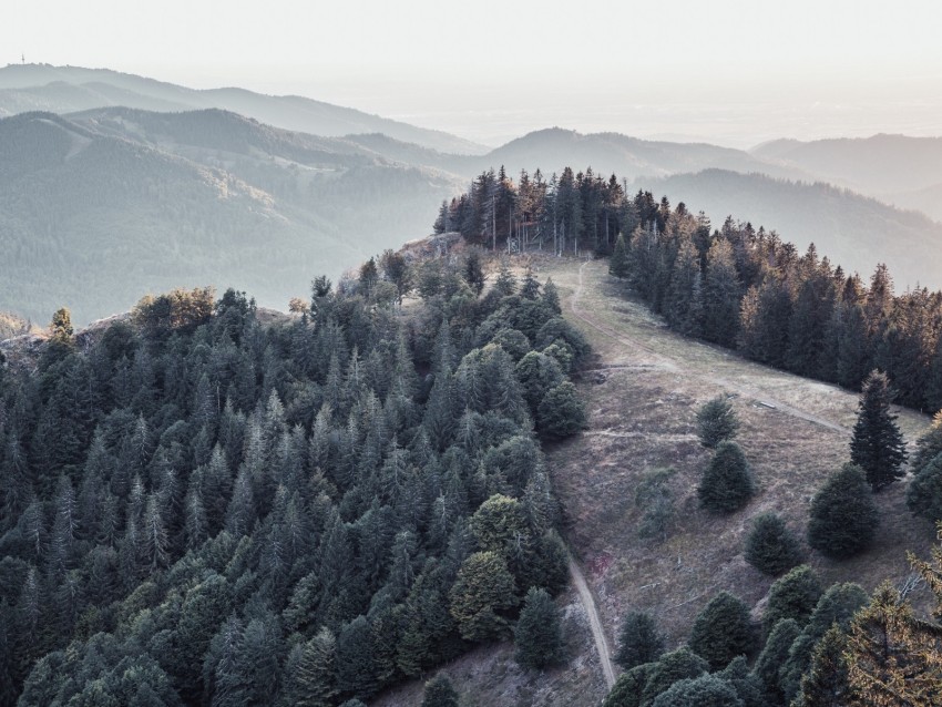 Free download | HD PNG forest trees mountains fog landscape 4k ...