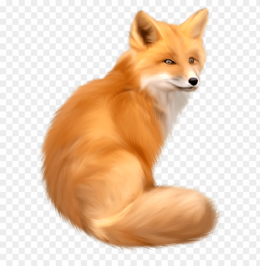 Free download | HD PNG fox sitting with orange fur and fluffy tail in ...