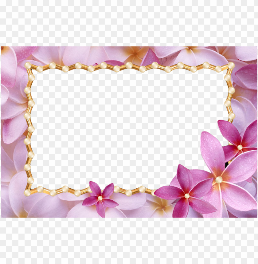 Frame Love Frame Png Flower Frame Wedding Frame Meaning Of Judy