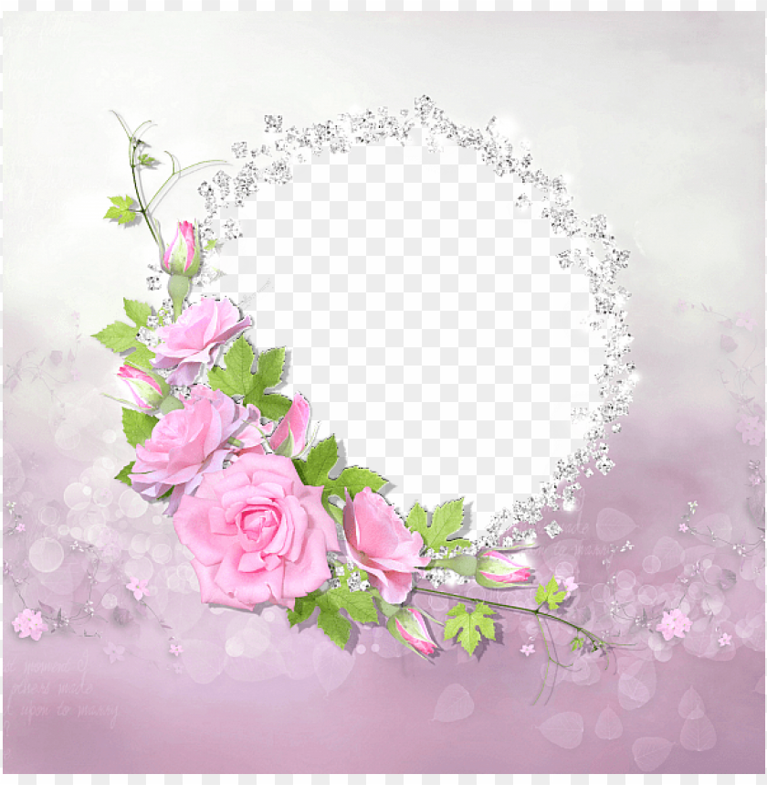 Free download HD PNG frame rose rose photo frame online PNG