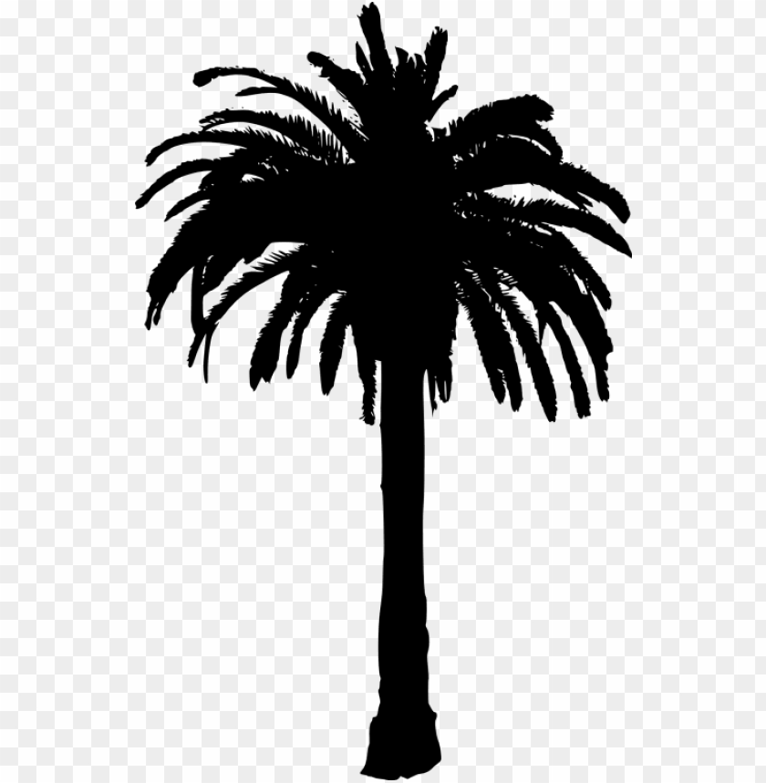 Free download | HD PNG free png palm tree png images transparent palm ...