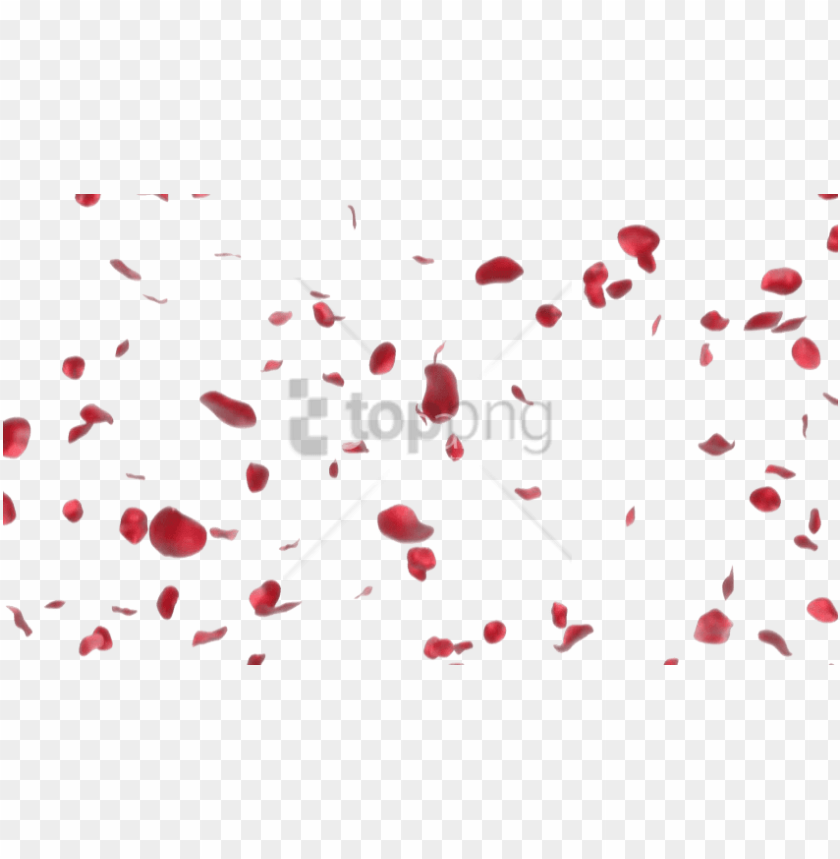 Free download | HD PNG free png rose petals transparent png image with ...