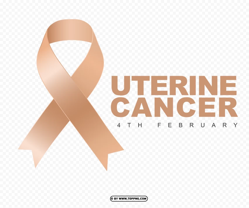 Free download | HD PNG free uterine cancer ribbon png image - Image ID