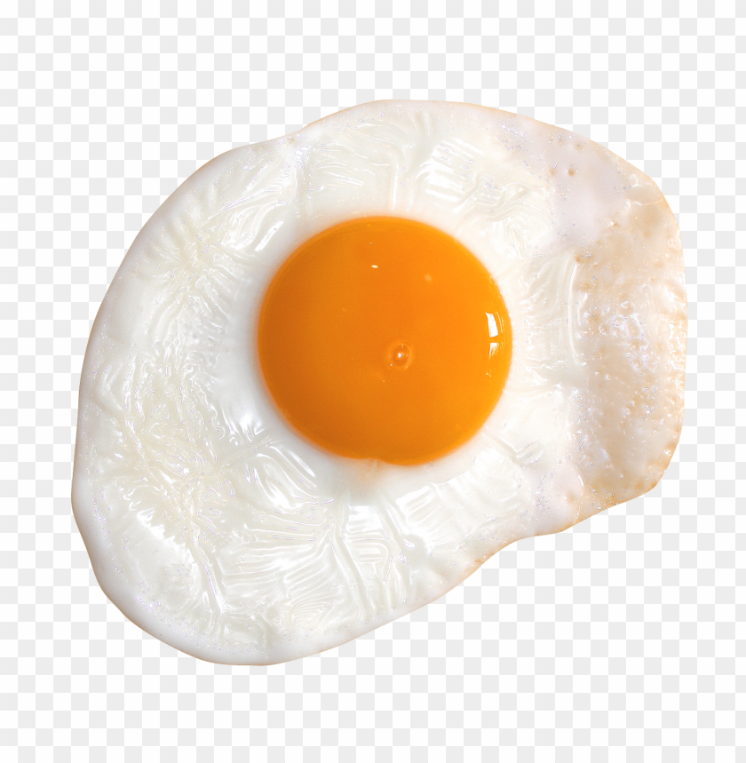 Download fried egg png - Free PNG Images | TOPpng