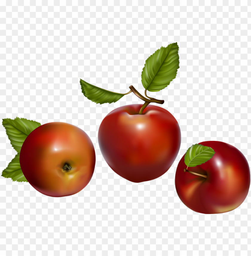 Free download | HD PNG fruit vector PNG transparent with Clear ...