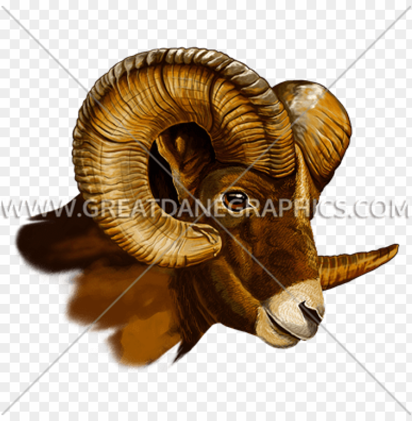 Free download | HD PNG goat head side view PNG transparent with Clear ...