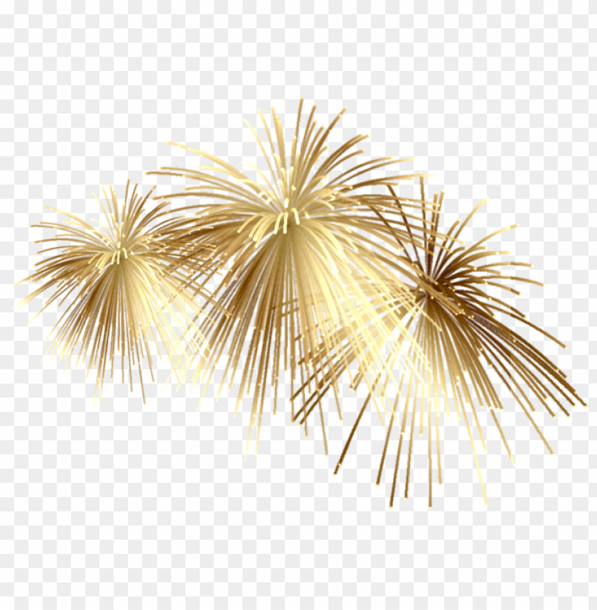 Download gold fireworks png png - Free PNG Images | TOPpng