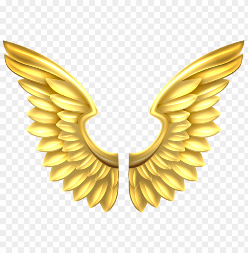 Download gold wings transparent png - Free PNG Images | TOPpng