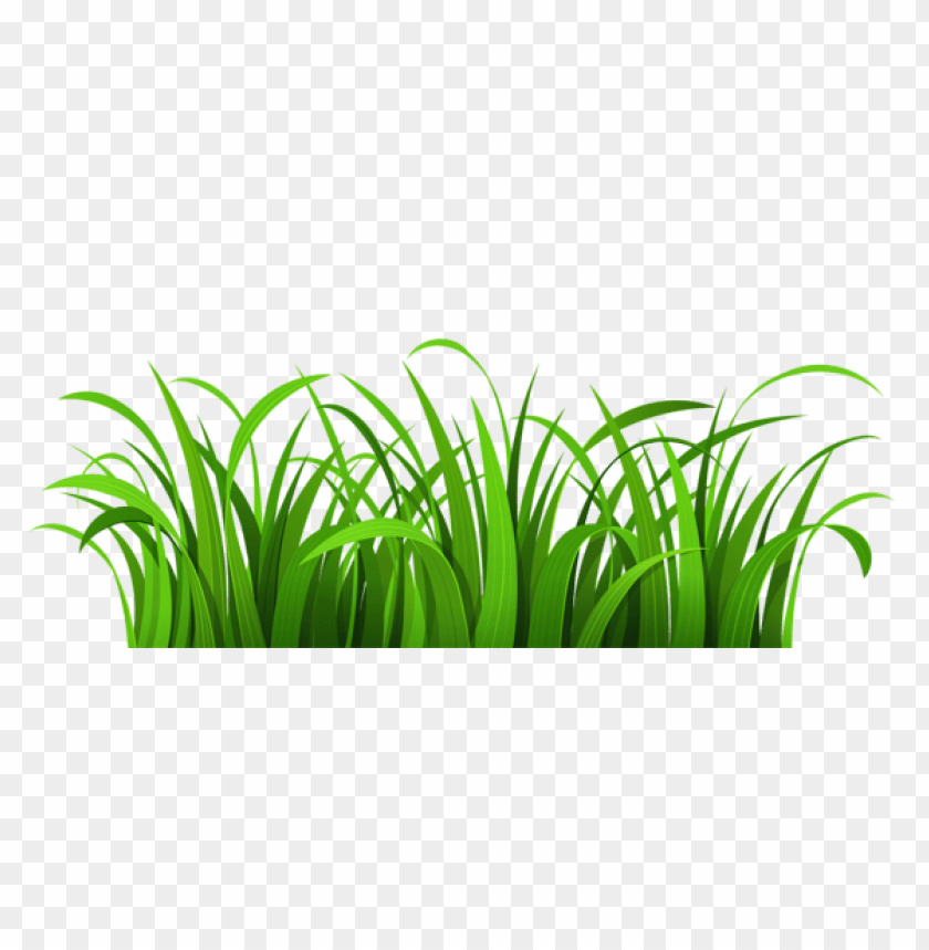 Free download HD PNG PNG image of grass patch with a clear background